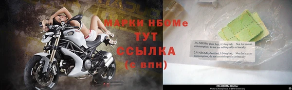 мдпв Богородицк