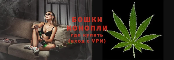 дживик Вязьма
