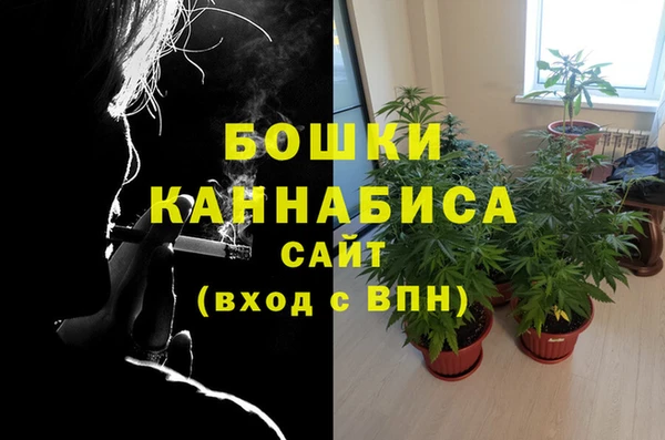 крисы Покачи