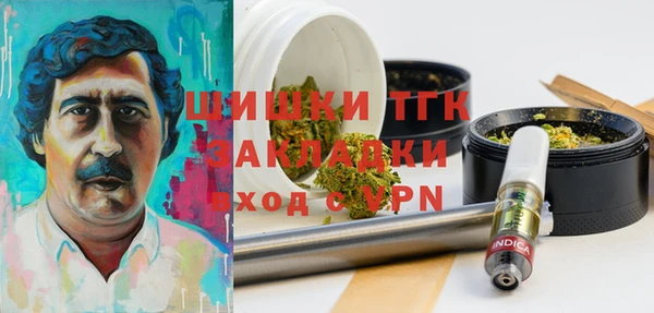 крисы Покачи