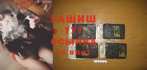 мдпв Богородицк