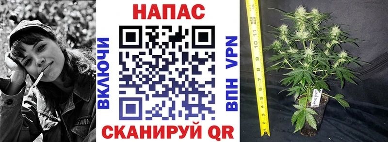 цены   Мостовской  Каннабис Amnesia 